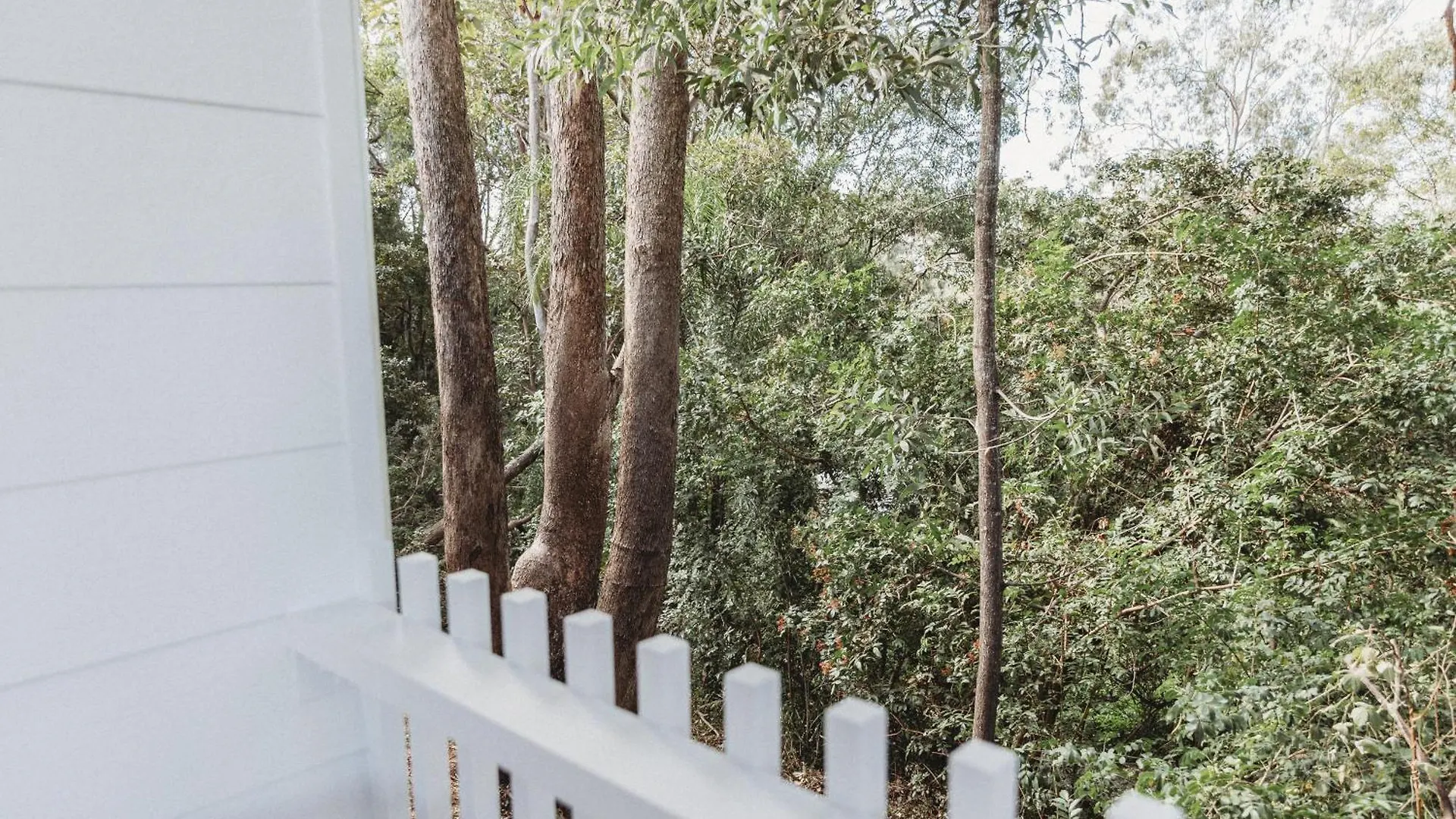 Pensjonat Cosy & Private Hinterland Guesthouse Gold Coast